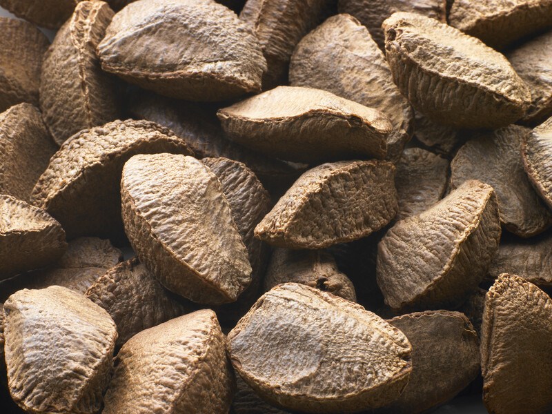 This photo shows a closeup of several dark brown unshelled Brazil nuts.