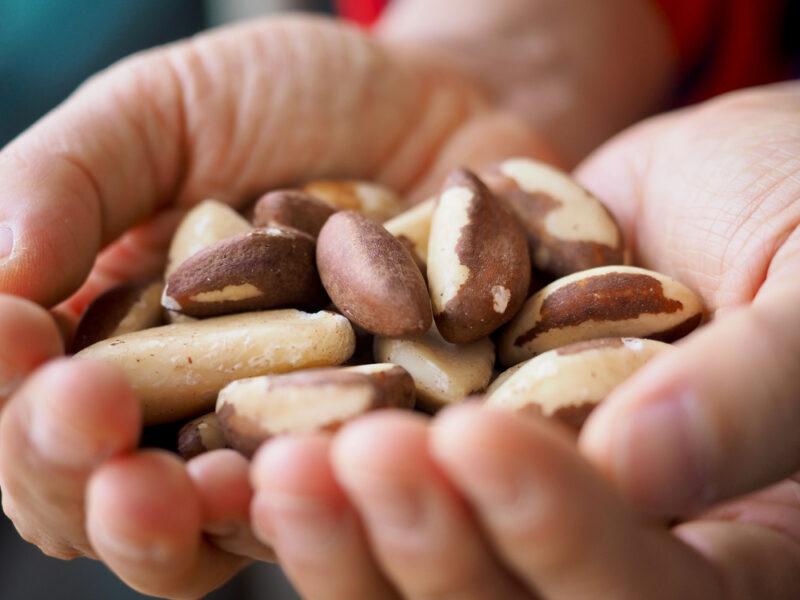 a closeup image of a couple of hands full of Brazil nuts