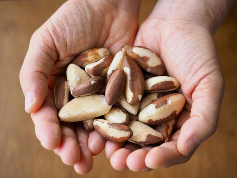 a couple of hands full of Brazil nuts