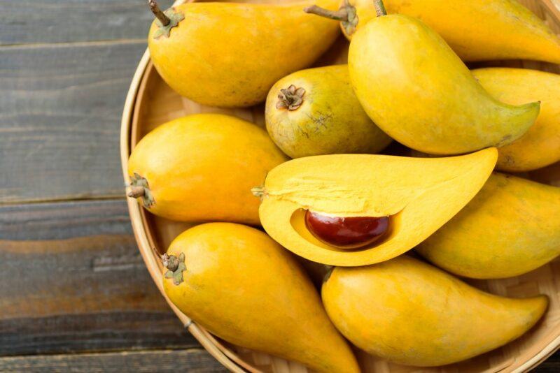 A large bowl containing many bright yellow canistel fruits or eggfruits, one of which has been sliced open