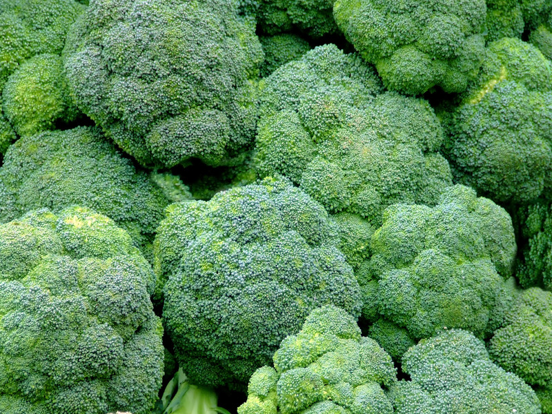 This photo shows an overhead view of several bunches of broccoli.