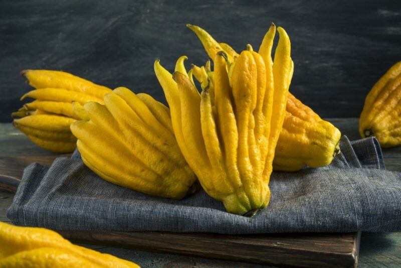 Whole Buddha's hand citrus fruits on a cloth of some type