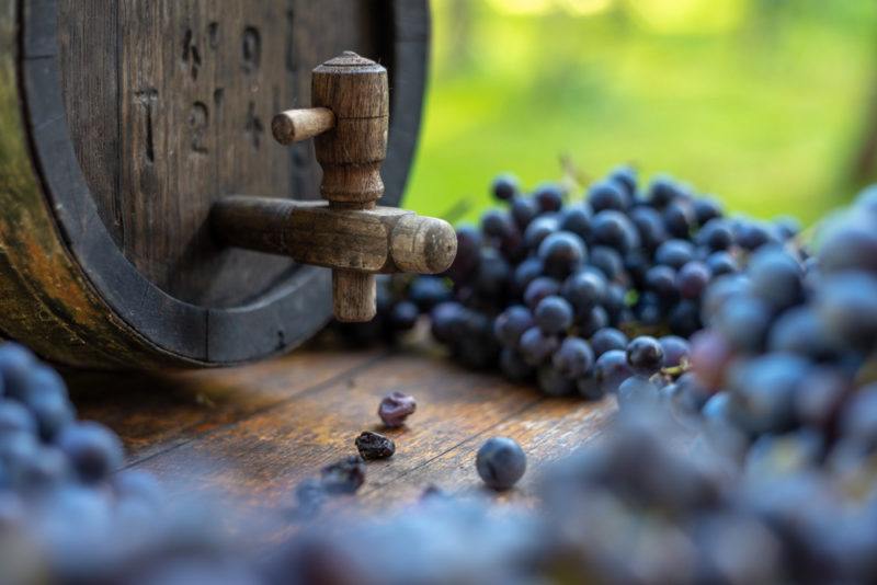 Cabernet Franc Grapes