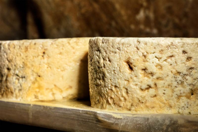 Cabrales, traditional Spanish artisan cheese, developing penicillium molds in the process of aging on the so-called talamera in a cave, in the Picos de Europa mountains in Asturias, Spain