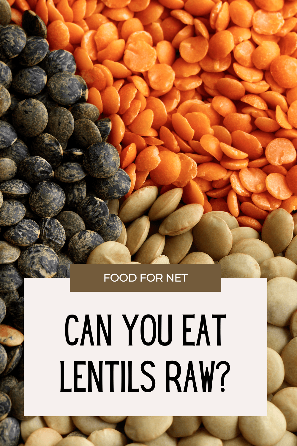 A selection of different colored lentils, looking at the question of, can you eat lentils raw?