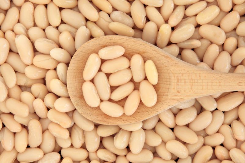 Many cannellini beans and a wooden scoop with some beans