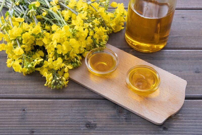 Two small glass dishes of canola oil, next to a bottle of the oil and some rapeseed flowers