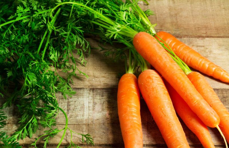 A bunch of fresh carrots with their stems still attached