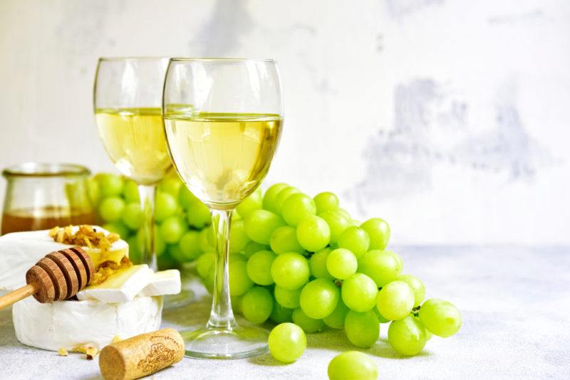 Two glasses of white wine, with grapes, brie and honey, in front of a white background