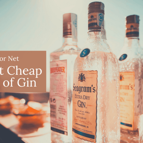The Best Tonics For Gin Food For Net
