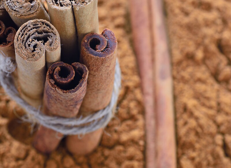 Top view of a bundle of cinnamon sticks resting upright on ground cinnamon powder with a blurry image of a single cinnamon stick on it.