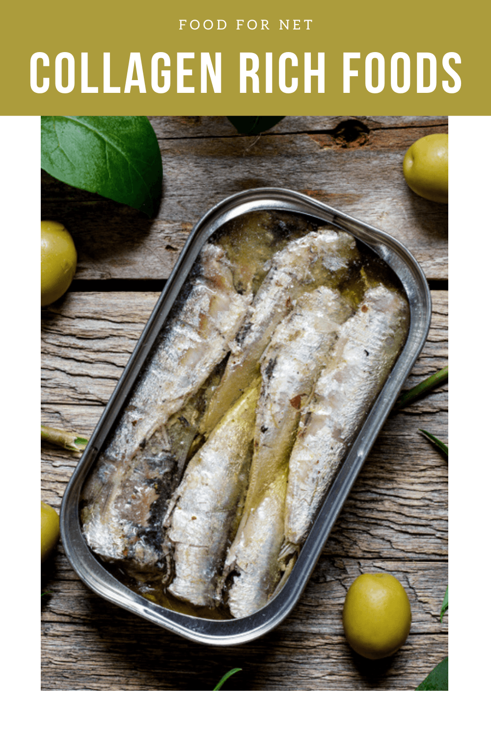 An open tin of sardines in oil