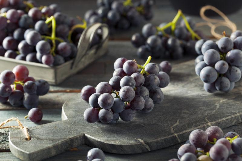 Concord Grapes