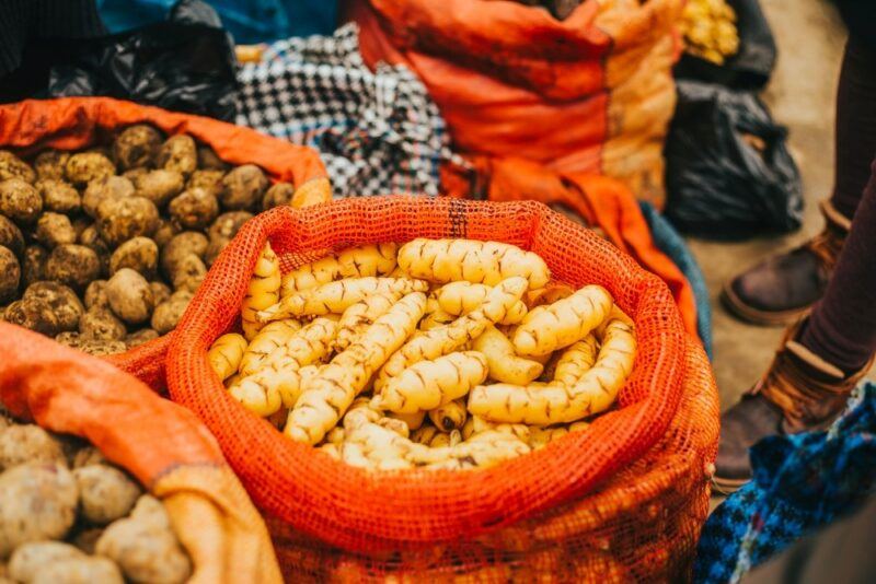 Three orange containers containing different root vegetables, including mashua