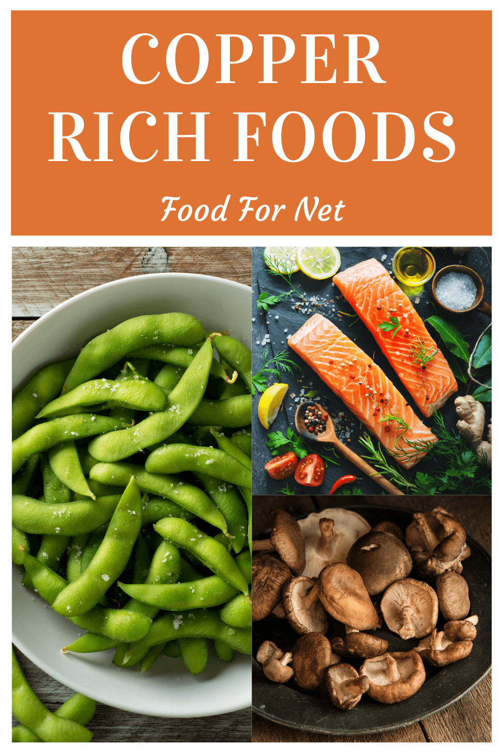 Various copper rich foods, including salmon, edamame, and mushrooms