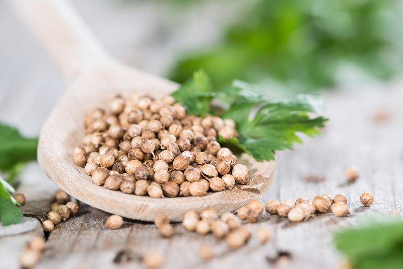 Closeup image of coriander seeds on a wooden spoon with fresh coriander leaf, with scattered coriander seeds and fresh coriander leaves around it.