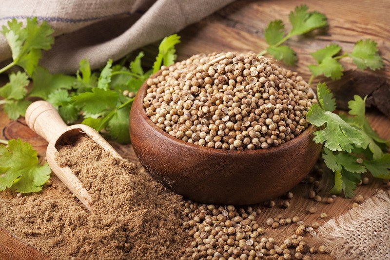 wooden bowl full of coriander seeds with a wooden scoop beside it full of  powdered coriander seeds, and fresh coriander leaves at the back