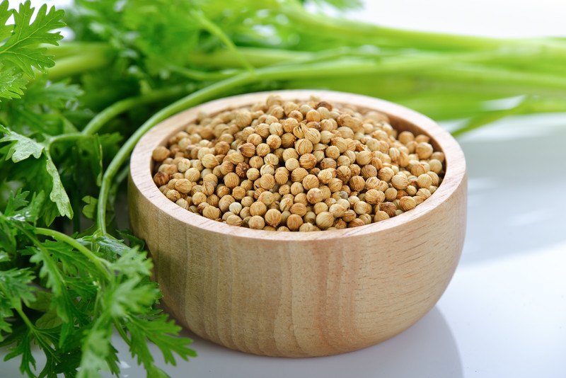 wooden bowl full of coriander seeds with fresh coriander leaves at the back