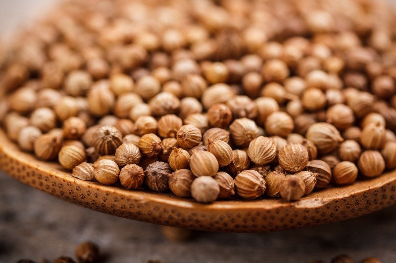 closeup image of coriander seeds