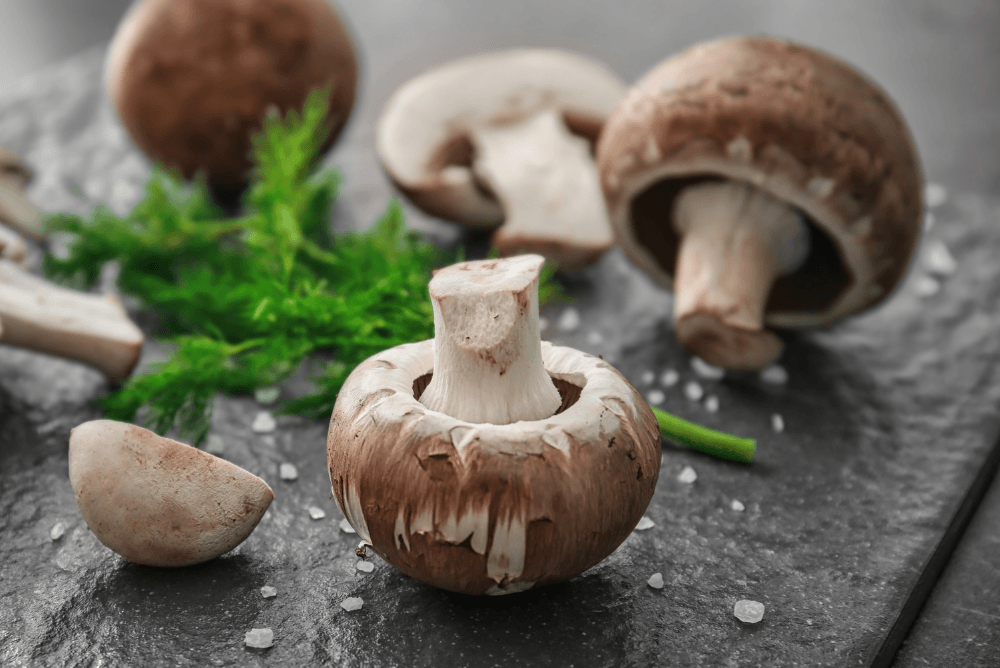 19 Types Of Mushrooms You Can Enjoy At Home Food For Net