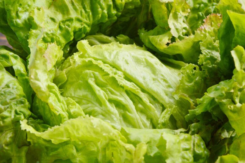 closeup image of a head of Crispino lettuce