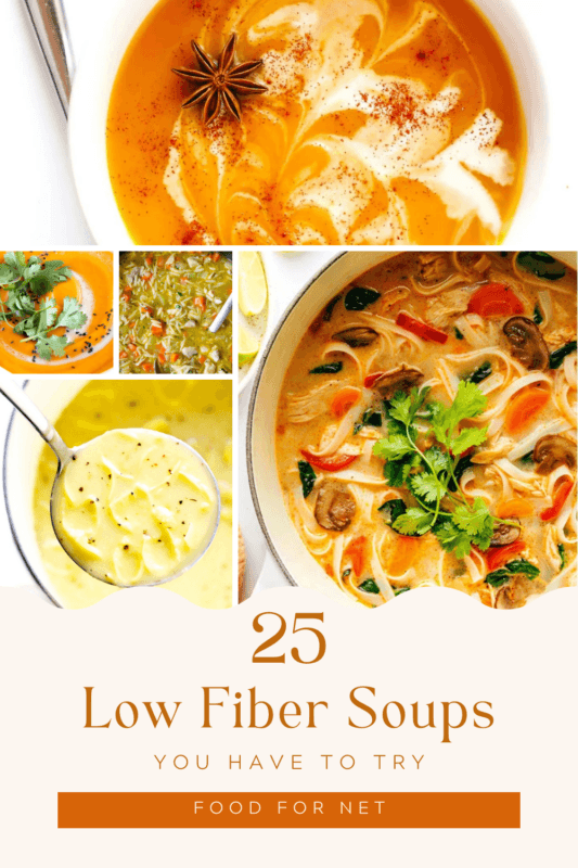 25 Scrumptious Low Fiber Soups Food For Net