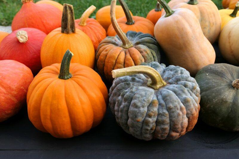 Various types of winter squash on a black table