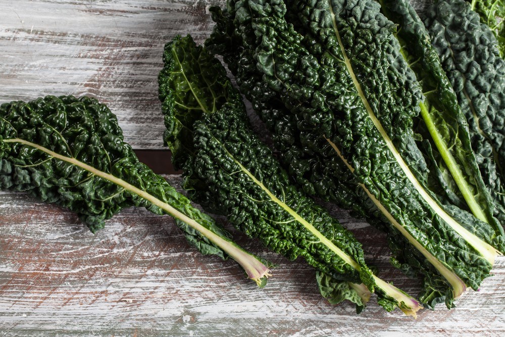 Is Kale Good For You? Food For Net