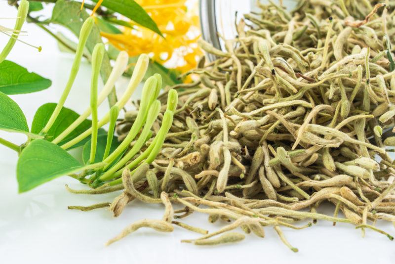 Dried leaves for honeysuckle tea that are spilling out of a jar, next to some fresh honeysuckle