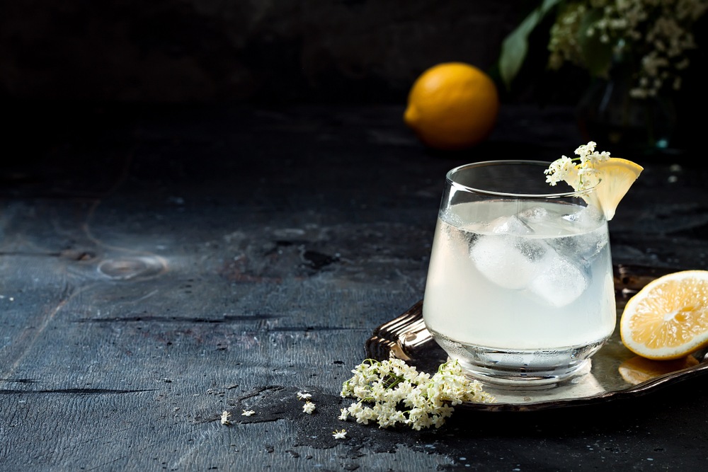 Top 19 Gin Mixers For Fast, Easy And Delicious Drinks Food For Net