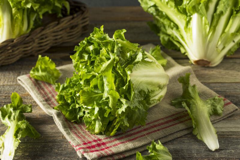 on a wooden surface is a white table napkin with red stripes with escarole  on it, around it are loose escarole leaves