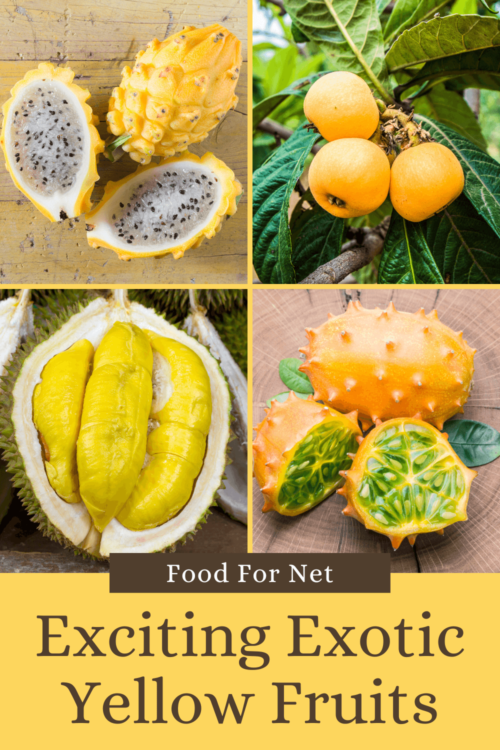 exotic yellow fruits including durian, horned melon, and dragon fruit