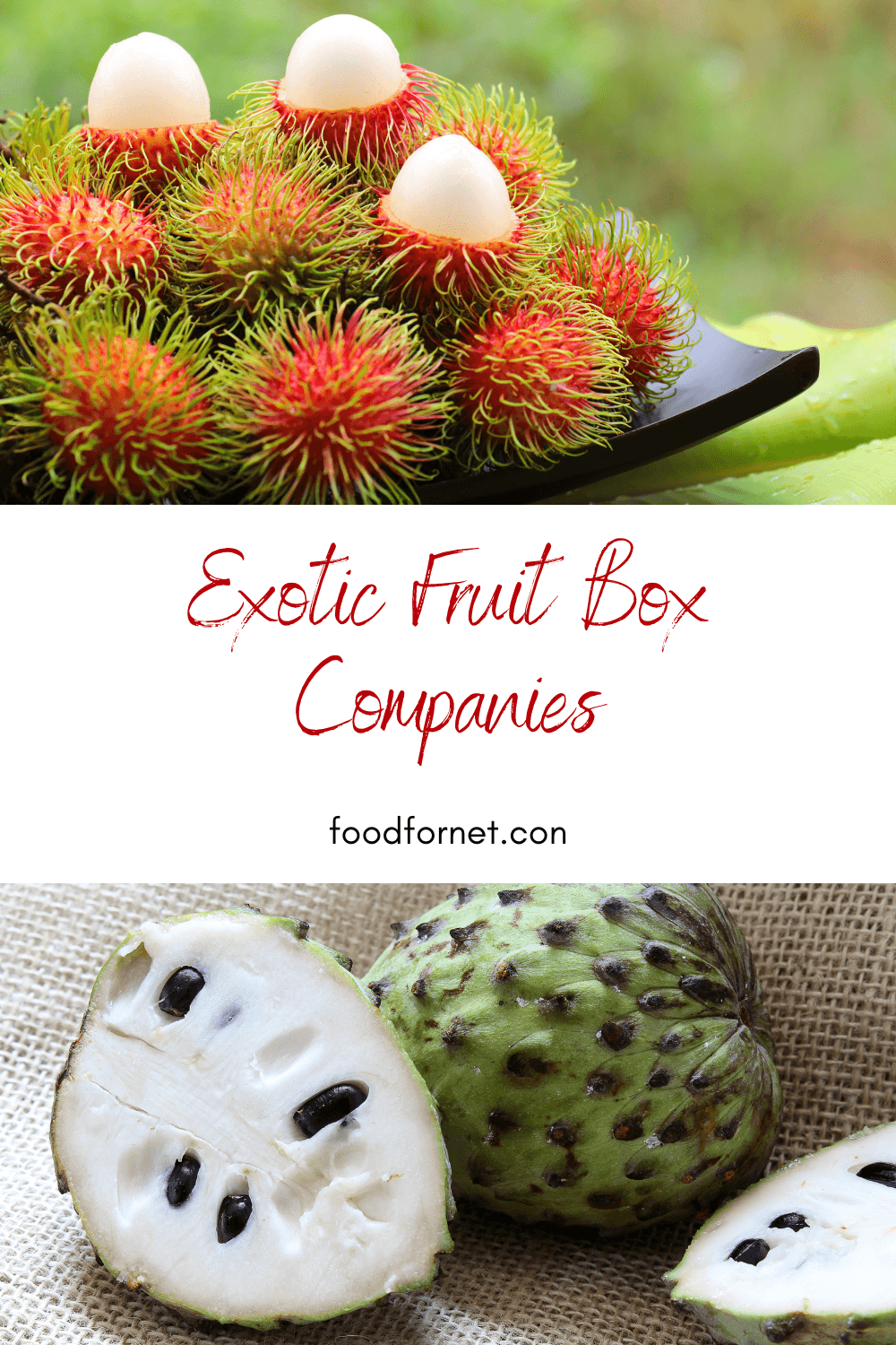 Two different types of exotic fruit, one outside and one on a table, looking at the best exotic fruit box companies