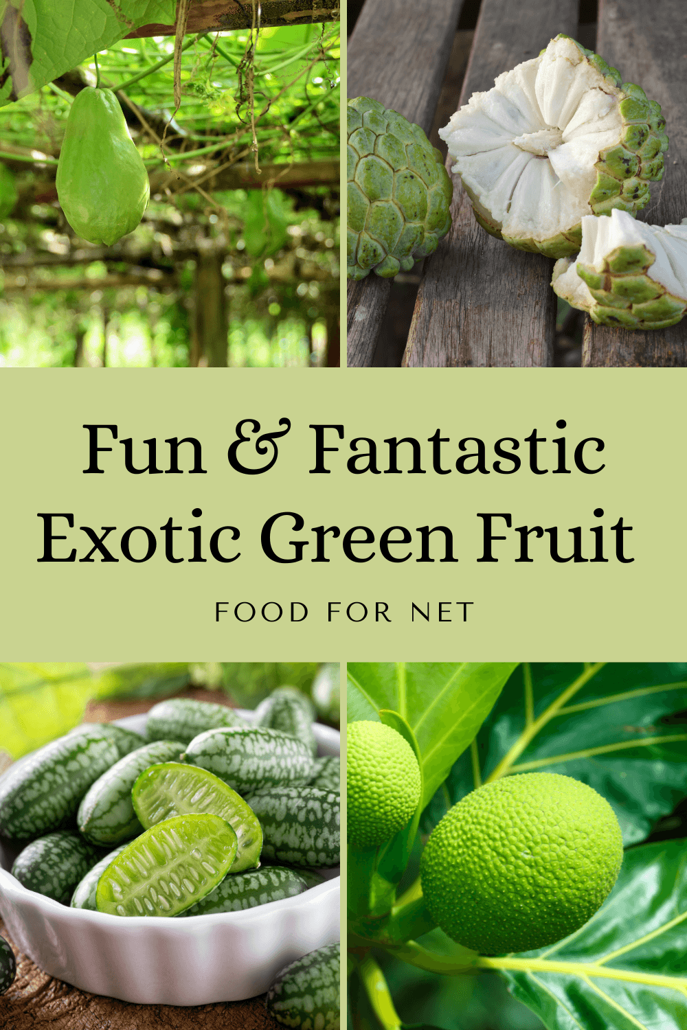 Four different types of exotic green fruits, including jackfruit, cucamelons, and custard apples