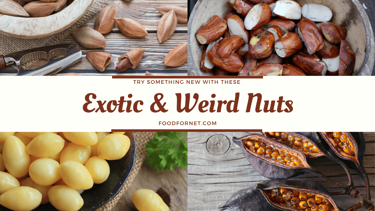 29 Exotic Nuts That You Need To See To Believe Food For Net