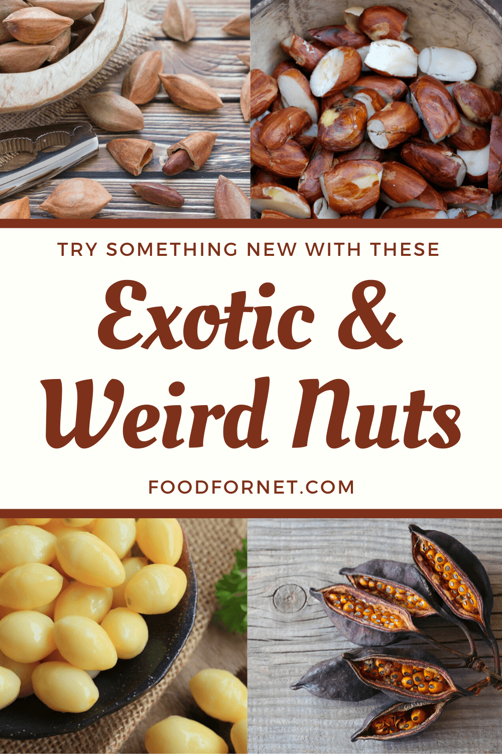 Exotic nuts. Four different types of unusual nuts