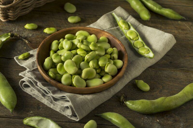 A wooden bowl of faba beans, with more beans in their pods surrounding it