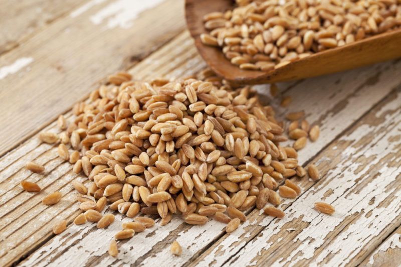 A small pile of farro on a wooden table