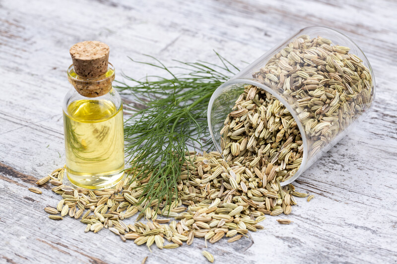 fennel seeds pouring out of a toppled over glass, with fennel oil in a small bottle with cork, and fresh fennel leaves