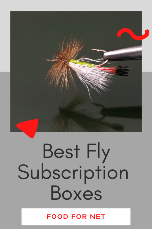 6 Fly Subscription Boxes All Anglers will Love Food For Net
