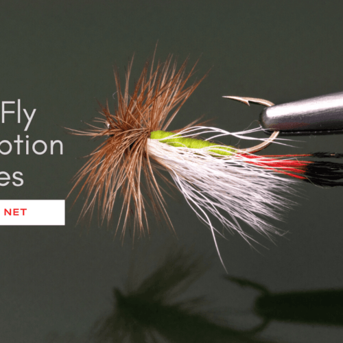 Top 8 Cologne Subscription Boxes of 2021 Food For Net