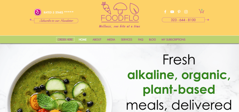 FoodFlo Website Screenshot showing a bowl of green soup, along with information about alkaline and plant-based foods.