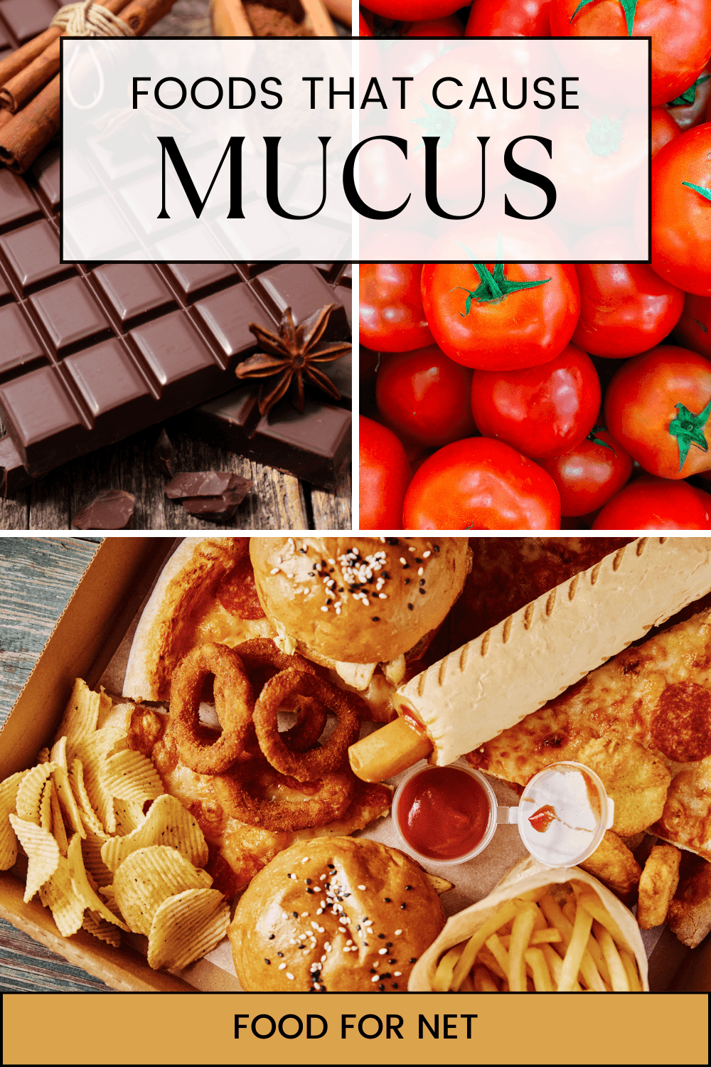 A selection of different foods that cause mucus, including chocolate, tomatoes, and fried foods