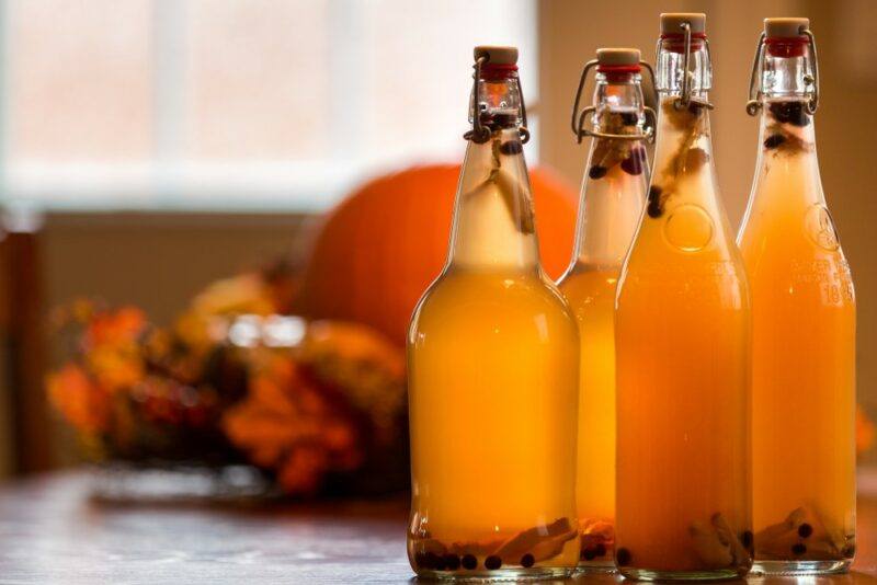 Four glass bottles of kombucha in front of a pumpkin and a window