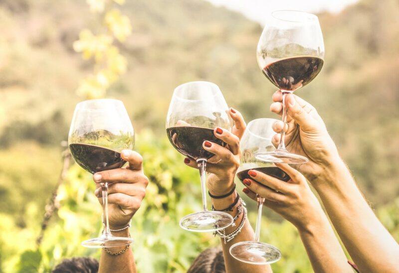 Four people outside holding up glasses of red wine. You can see hands, glasses, and mountains in the background, but not the people themselves