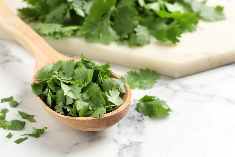 Is Cilantro Good For You? Food For Net