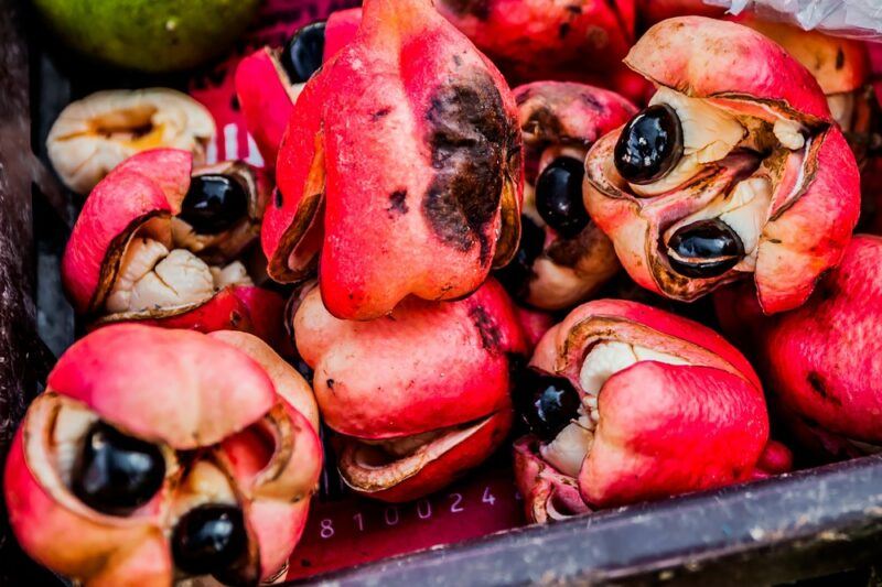 Fresh red ackees in a pile