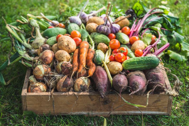 A wooden box of fresh seasonal vegetables