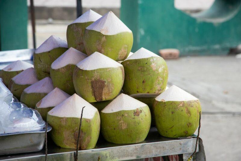 A pile of young green coconuts that have the skin cut off at the top to make them easier to stack and serve