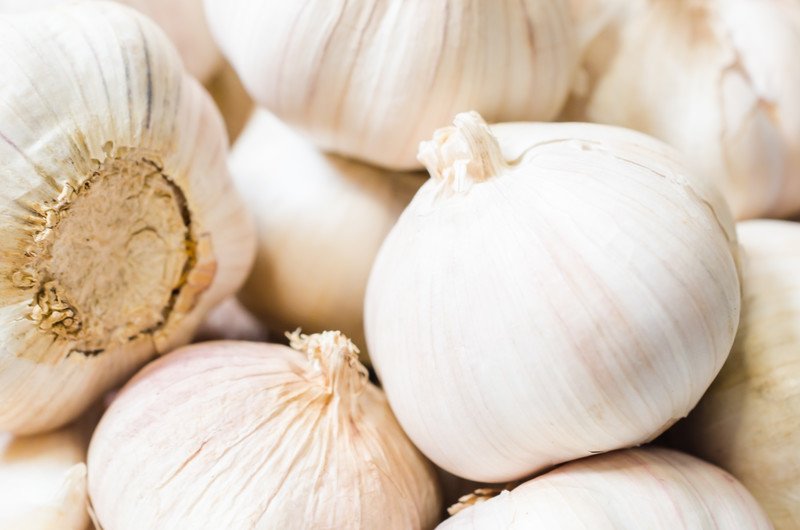 This photo is a closeup of several bulbs of garlic.